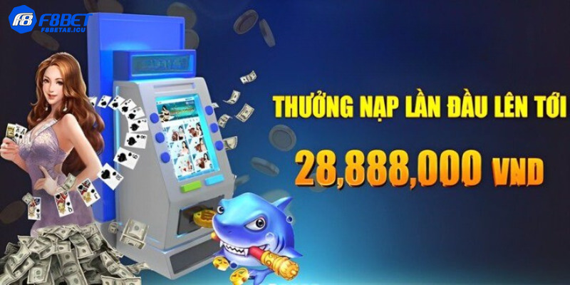 Khuyến mãi đặc biệt