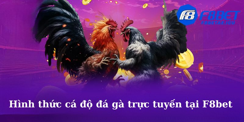 Hình thức cá độ đá gà trực tuyến tại F8bet là gì?